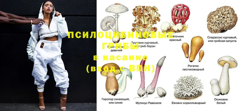 купить   Ковдор  OMG онион  Галлюциногенные грибы мухоморы 